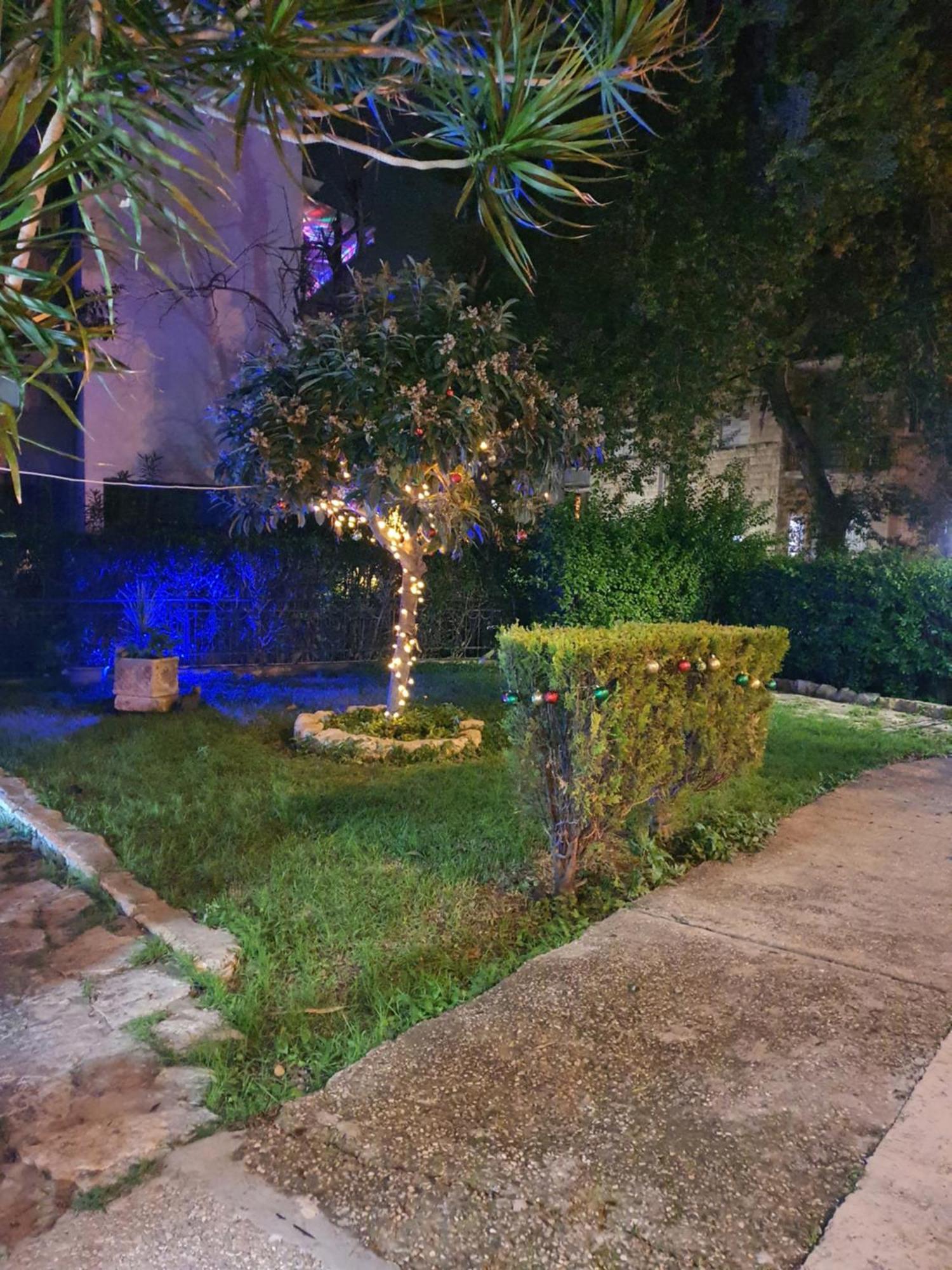Laila Home 4 Haifa Rom bilde